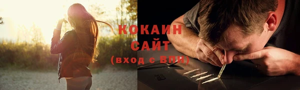 мдпв Майский