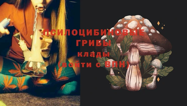 дурь Медвежьегорск