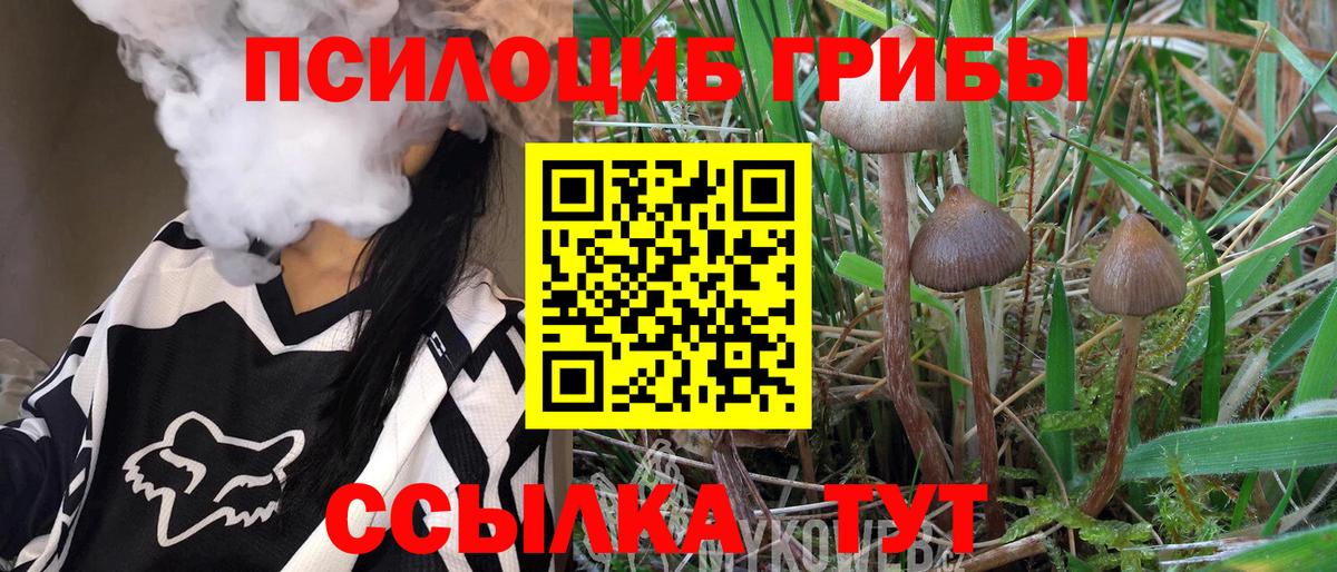 Галлюциногенные грибы Psilocybine cubensis  Знаменск 