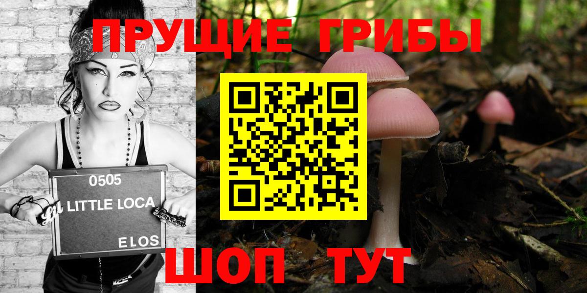 Псилоцибиновые грибы Cubensis Знаменск