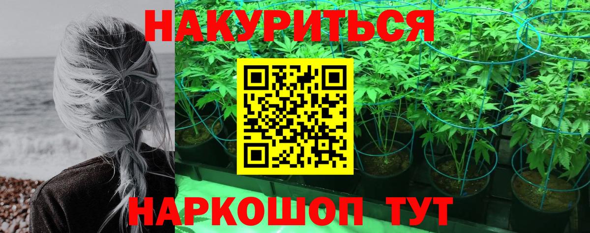 Канабис VHQ  Канабис семена  Конопля план  Знаменск 